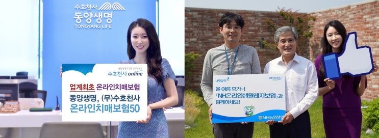 보험업계, 젊은층 겨냥 온라인보험 잇따라 내놔 보험업계, 젊은층 겨냥 온라인보험 잇따라 내놔