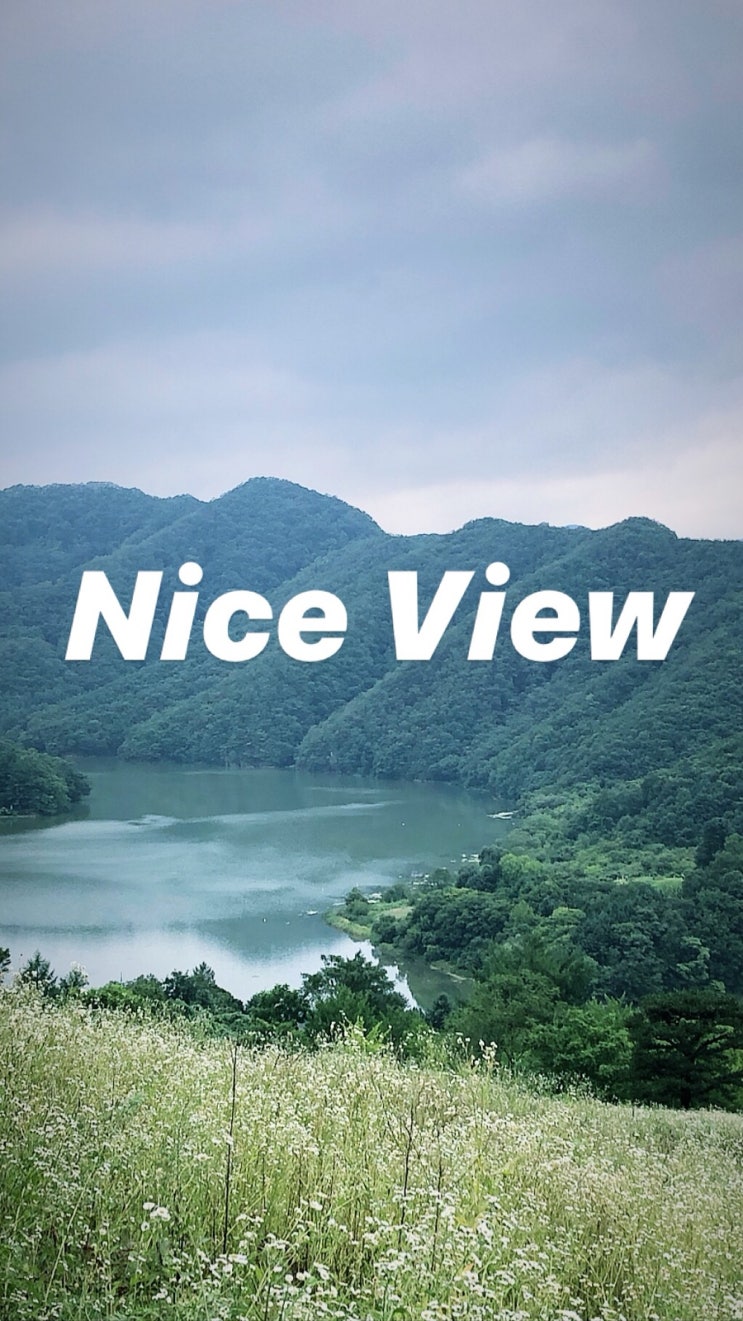  춘천 당일치기 드라이브코 한국의 스위스라는 해피초원목장, 생활의달인 새참막국수