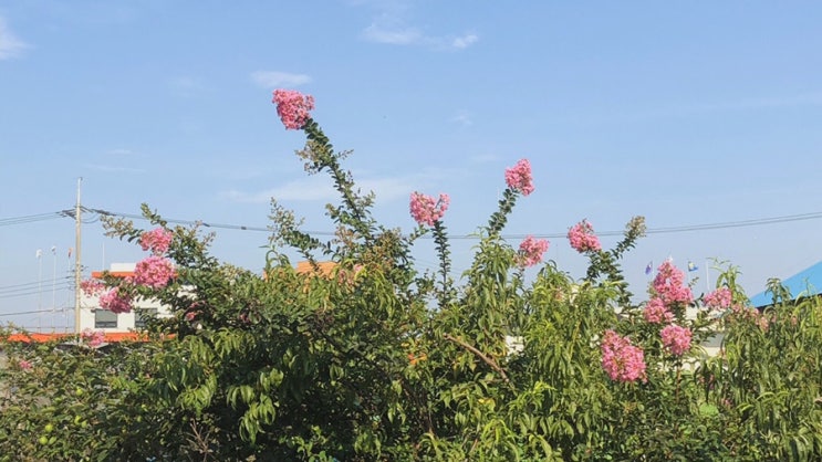  190709~10 충남 예산, 삽교읍 여행 기록