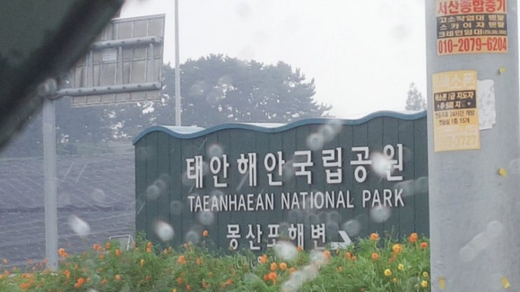 아이와 함께 가볼만한 곳 갯벌체험하러 충남 태안 몽산포해변으로 가는 길 (feat.비) 아이와 함께 가볼만한 곳 갯벌체험하러 충남 태안 몽산포해변으로 가는 길 (feat.비)
