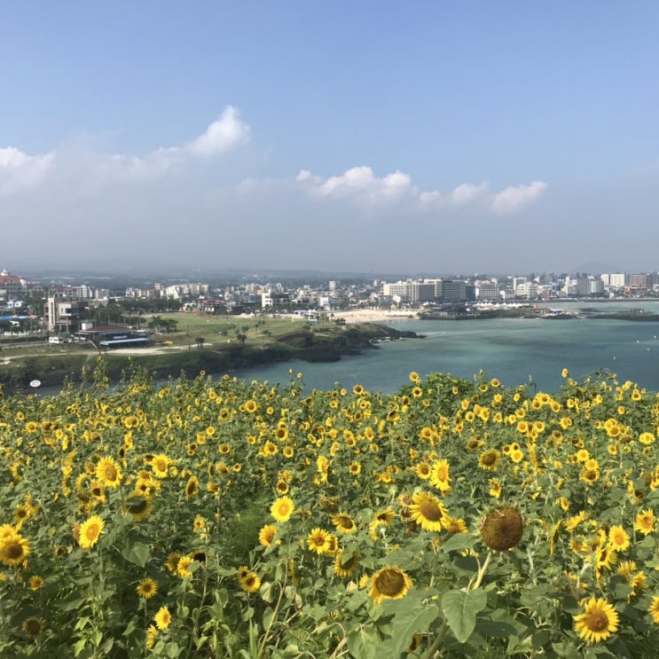  제주도 가족여행