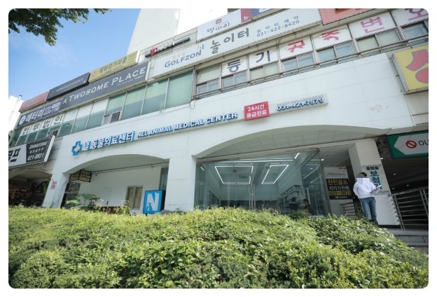  안양 동물병원 24시 넬 전문의료센터 추천해드려요!