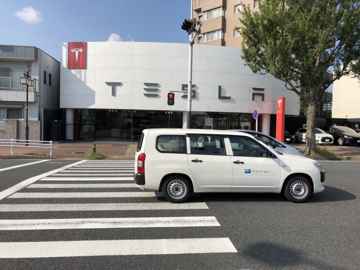  테슬라 model 3 모델3 시승