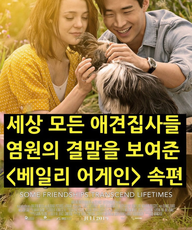  [안녕 베일리] 세상 모든 반려견 집사들의 염원을 담은 결말을 보여준 <베일리 어게인>의 속편