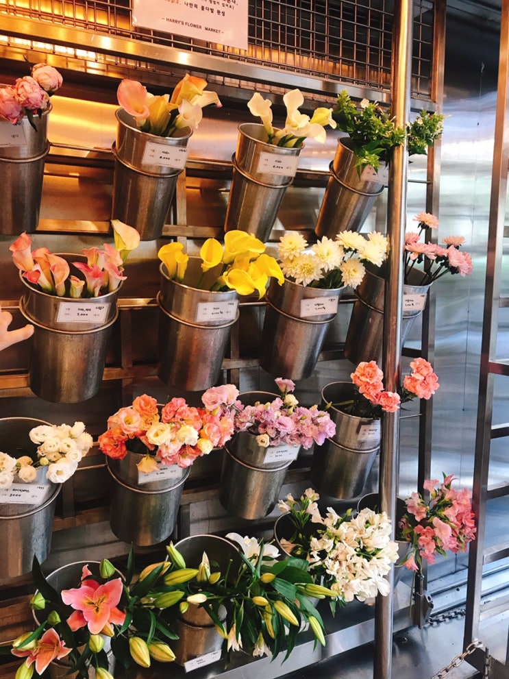 [연남동 셀프 꽃집] 해리스 플라워 마켓(Harry’s Flower Market)
