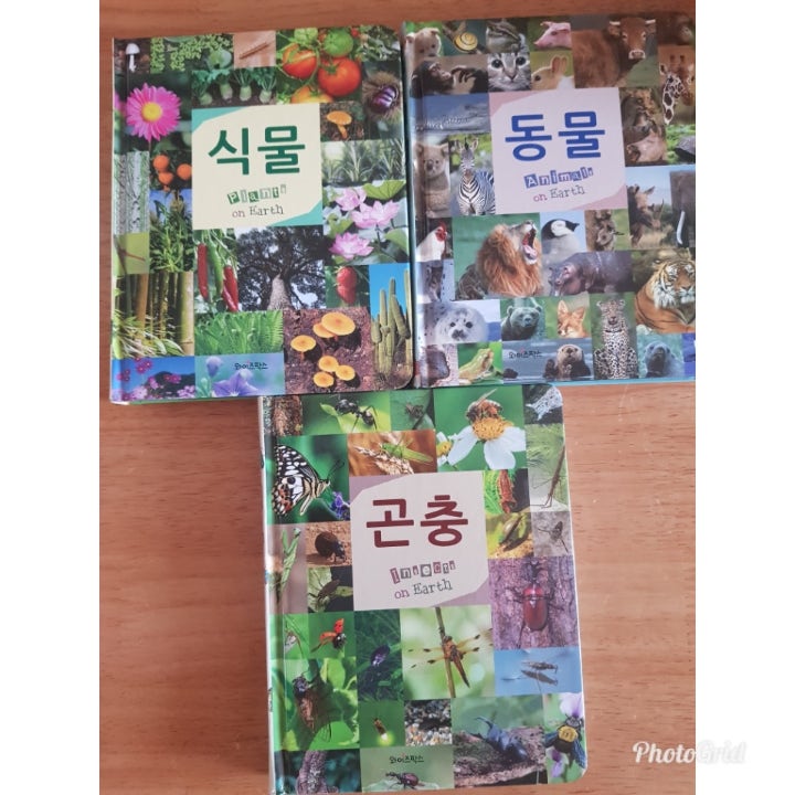 블로그 후기 사진