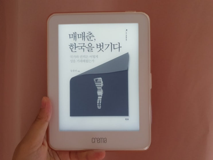  매매춘, 한국을 벗기다 - 강준만