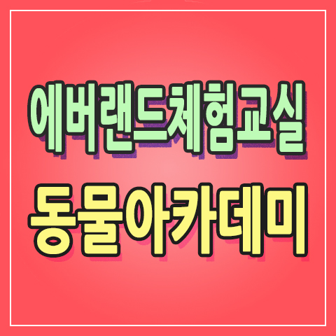  [여름방학 특강] 에버랜드 스페셜 체험교실 동물아카데미 판다/호랑이/원숭이 연간회원권 전용 