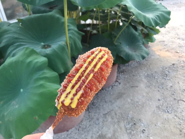  두물머리핫도그, 두물머리 연핫도그