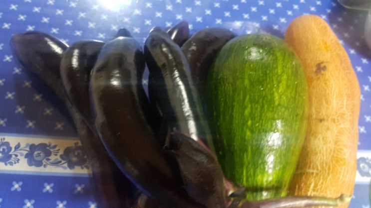 청포도 사탕 전도 청포도 사탕 전도