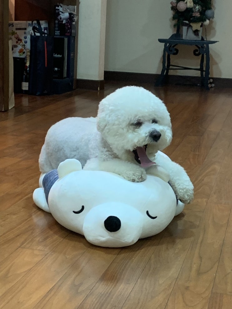  함냐하함