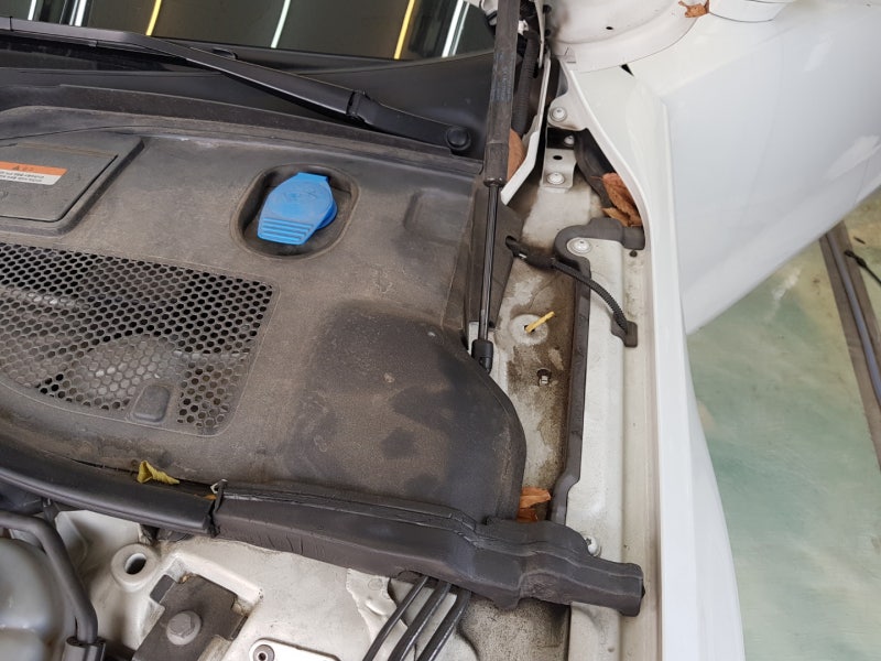 오산 수목원로 / 광택 / 아우디 / A7