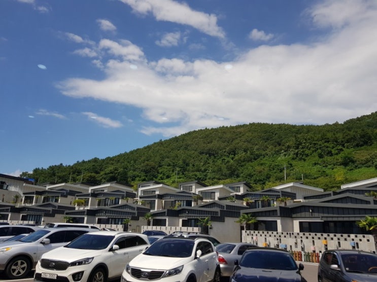  사천 아르떼리조트 휴가