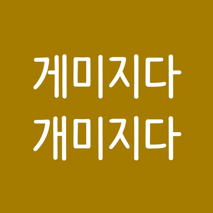 게미지다 개미지다