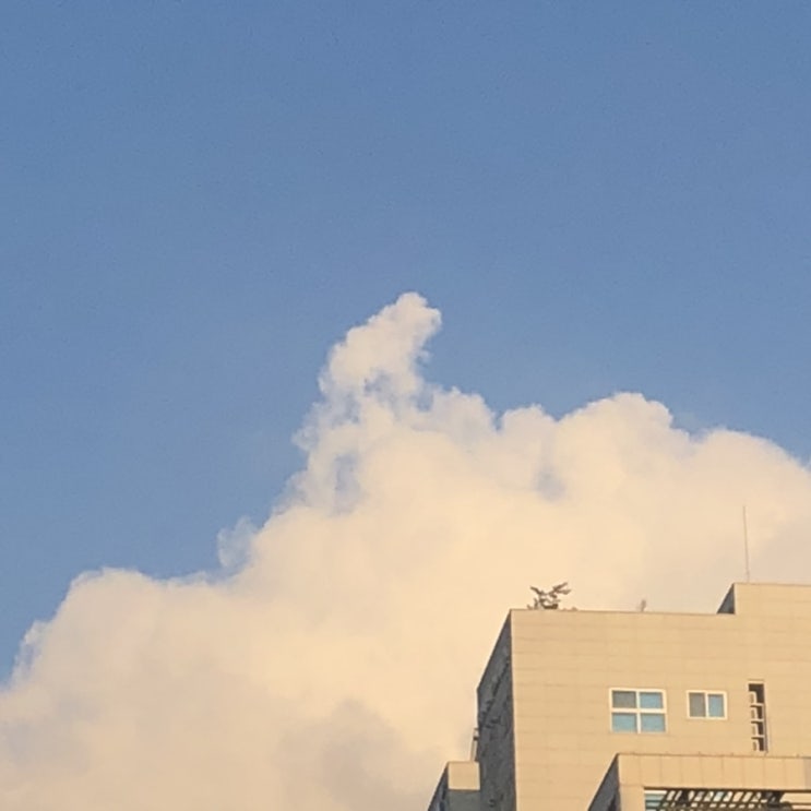  여름방학 끝자락  ..