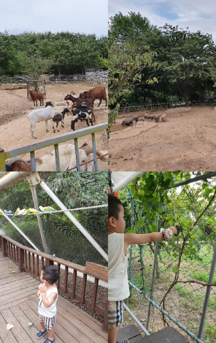 덕산스플라스2박3일 여행 덕산스플라스2박3일 여행