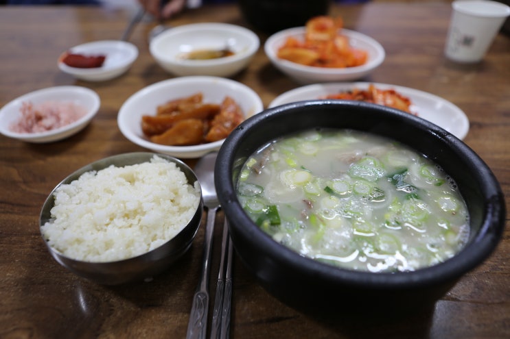  [강원 강릉] 주문진 로컬 맛집 - 철뚝 소머리국밥