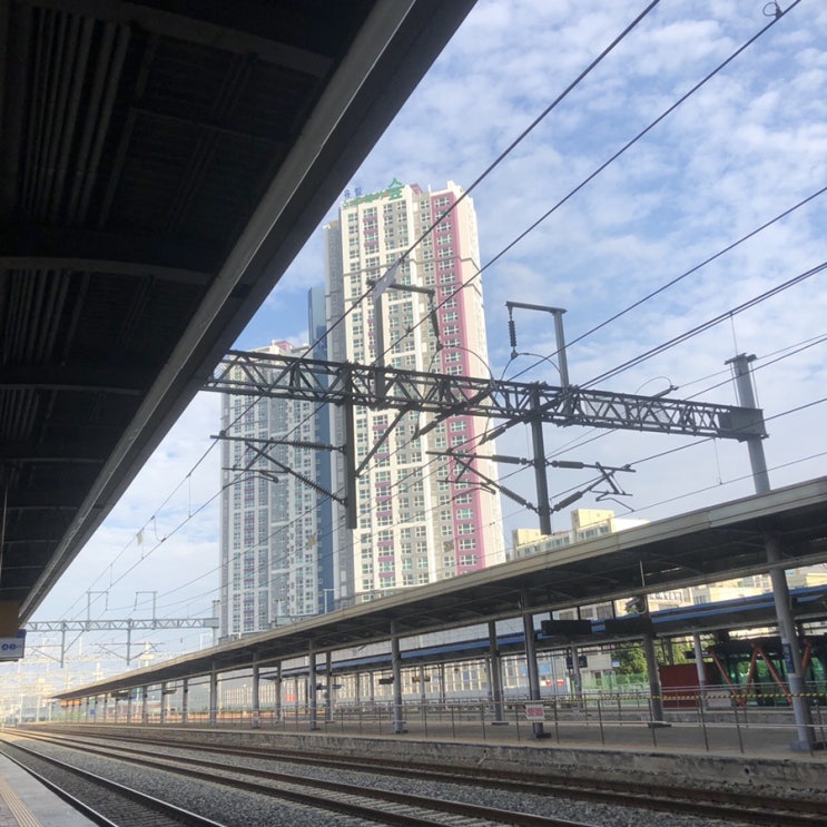  2019. 8 (3)