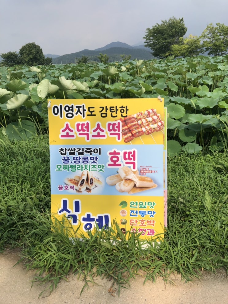  양평 두물머리 연핫도그