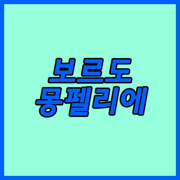  보르도 몽펠리에 18일 리그앙 아쉬운점이 있지만 어쩔수 없습니다.
