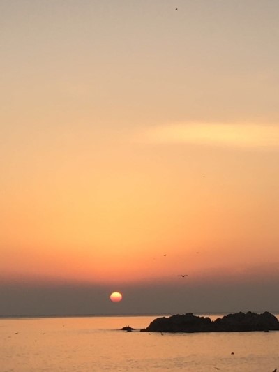  [양소견기] 청담.천자문46장