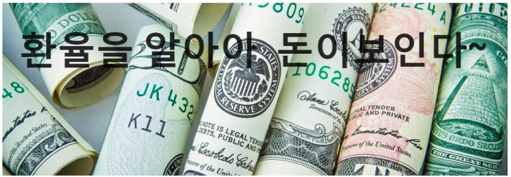  환율을 알아야 돈이 보인다~