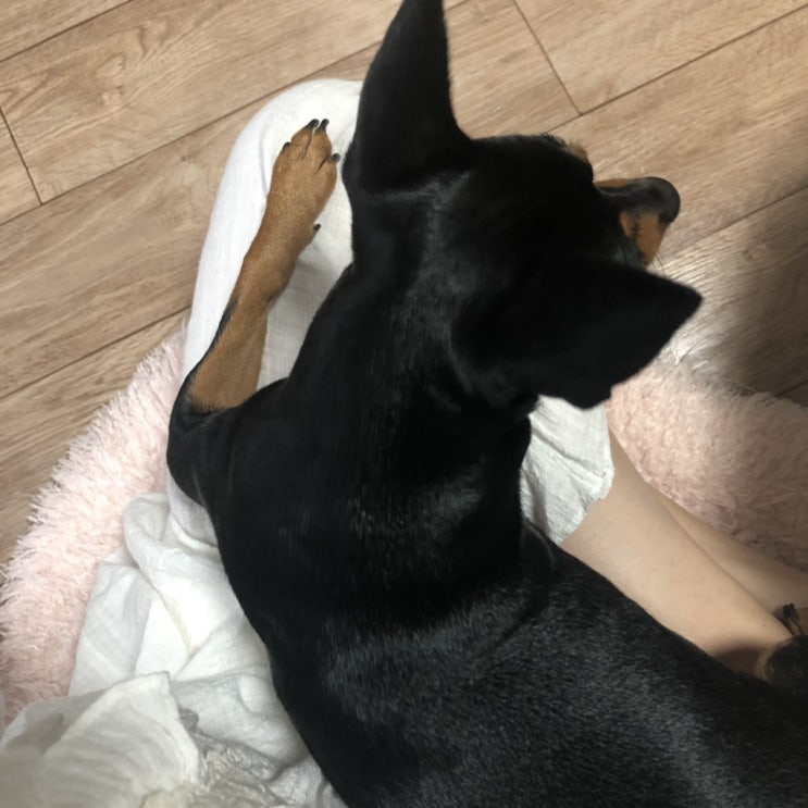  8月