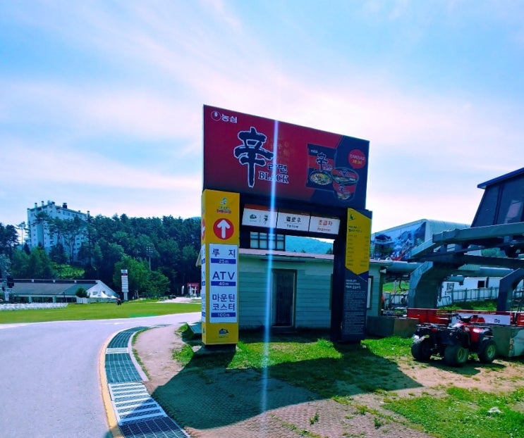  용평리조트 마운틴코스터, 루지, 발왕산케이블카 후기