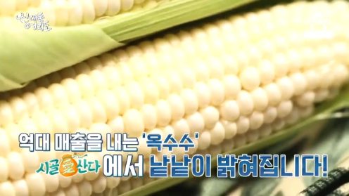 신대동여지도 옥수수 연매출 4억 홍천 옥수수왕 시골에 시골애 산다 기적의건강밥상 레몬밤 과민성대장증후군 택배 306회 신대동여지도 고흥 장어 돌문어 숯불생선구이 녹동항 여행의고수 신대동여지도 옥수수 연매출 4억 홍천 옥수수왕 시골에 시골애 산다 기적의건강밥상 레몬밤 과민성대장증후군 택배 306회 신대동여지도 고흥 장어 돌문어 숯불생선구이 녹동항 여행의고수