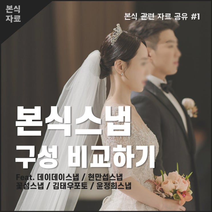  본식스냅 추천 :: 데이데이스냅 14개 업체 비교 후 결정! (feat.김태우포토, 꽃섬스냅, 현만섭스냅, 윤정희스냅 외 9개)