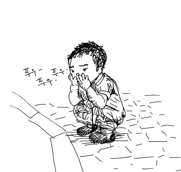 산비둘기 귀뚜라미 산비둘기 귀뚜라미
