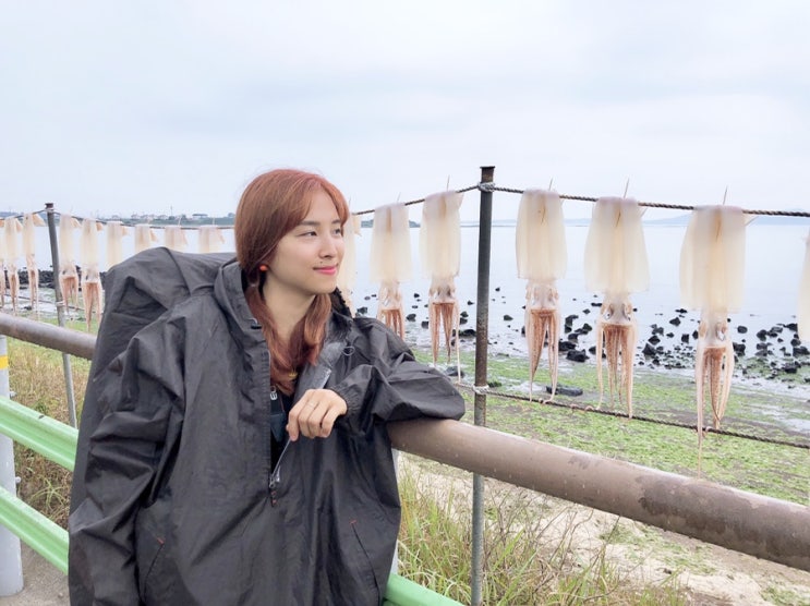  제주올레 Day1 성산일출봉 1코스완주