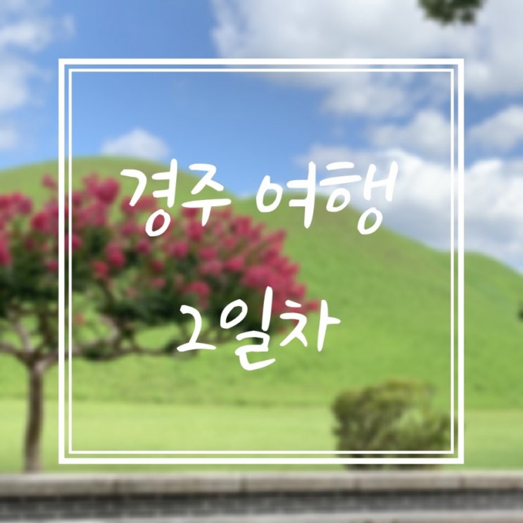  [국내여행] 여름 경주1박 2일 여행코스 (2일차)-추억의 달동네 등 코스, 경비, 맛집 정리!