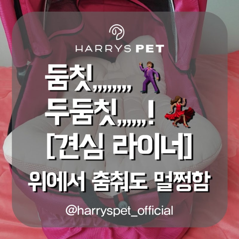 고급애견용품 하루하루 사용하게 되어버리는 대단한 존재감