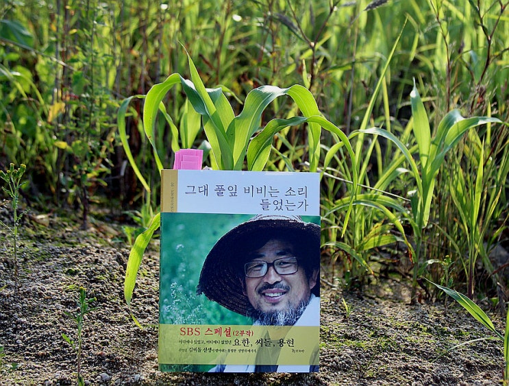  그대 풀잎 비비는 소리 들었는가 /책안내