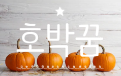  호박꿈