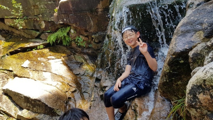  숲체험(진관사계곡)