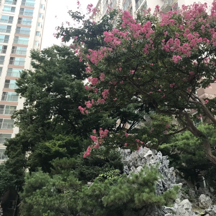  2019년 8월 셋째주 이야기