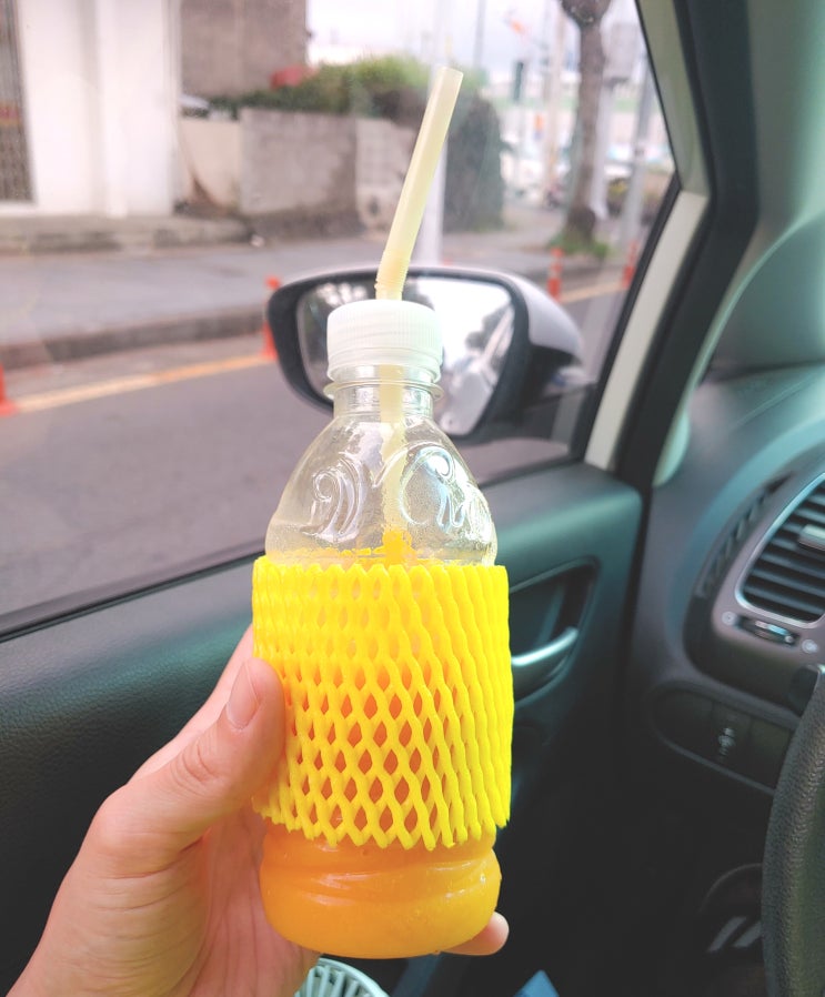  제주도 - 리치망고 쇠소깍점 스페셜 망고쉐이크