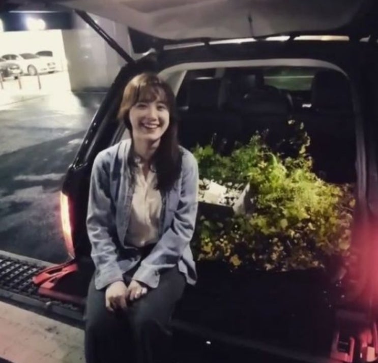  구혜선 안재현 이혼