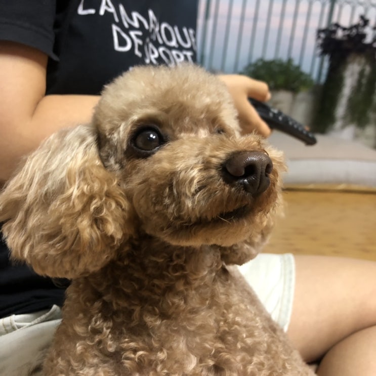  20190810日記
