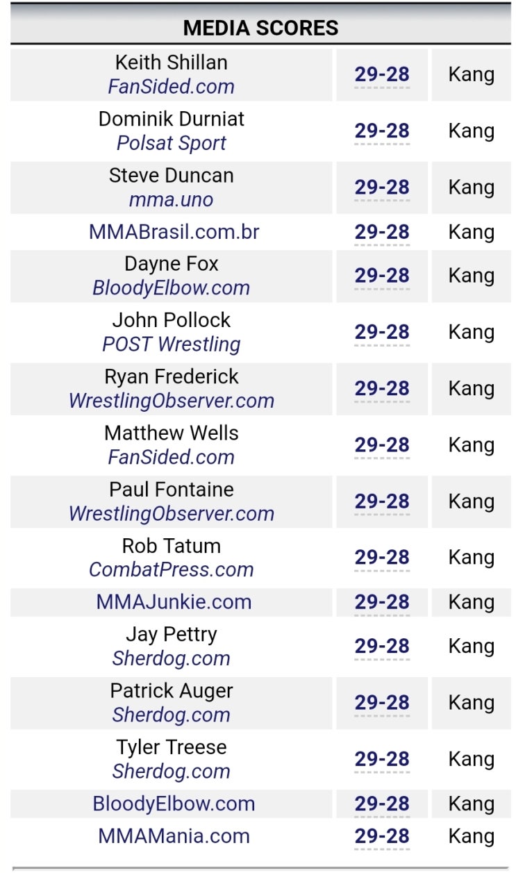 UFC 241 강경호 vs 브랜든 데이비스 미디어 판정 및 하이라이트