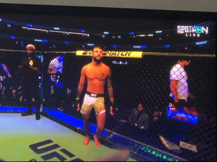  보라동격투기/보라동복싱/보라동킥복싱/보라동UFC       UFC241 강경호 승전보 전해드립니다.