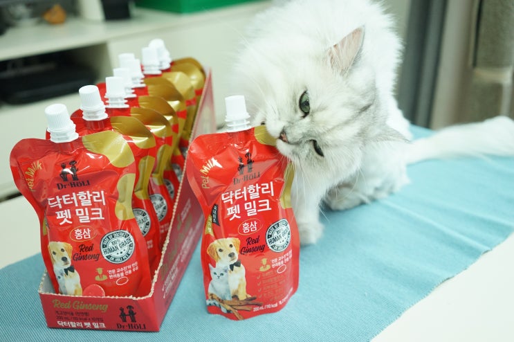  고양이우유 나보다 좋은거 먹이기 w.닥터할리 펫밀크