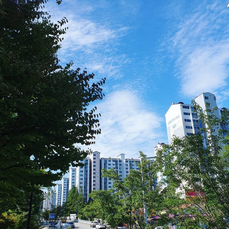  <안재현, 구혜선 이혼,,?>