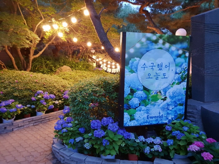  [대구광역시 달서구] 이월드 수국축제 2019 (20190525~20190623)