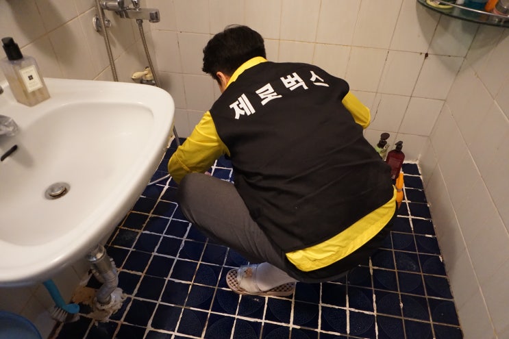  권연벌레퇴치 리얼후기/해충방역업체 제로벅스