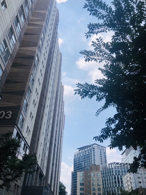  솔솔