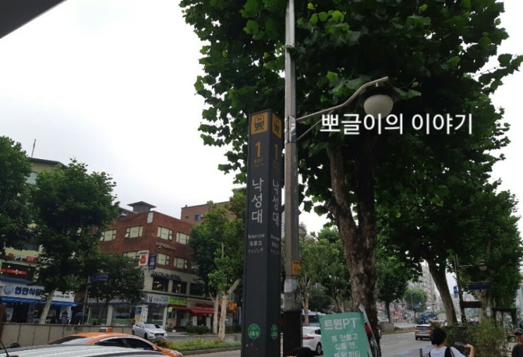  낙성대부근 거북이전문 발토앤제이에서 육지거북이 분양받았어요.
