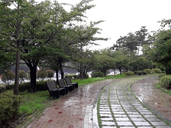   연중 제 20 주일 